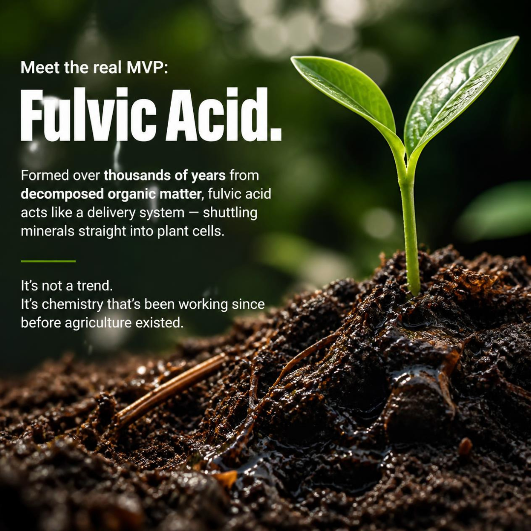 natural garden fertilizer